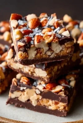 Dark Chocolate and Sea Salt Nut Bars